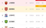爱游戏官方意甲赛程吃紧，上海海港清晨造点机会，气氛紧张，赛程密集仍需轮换的简单介绍